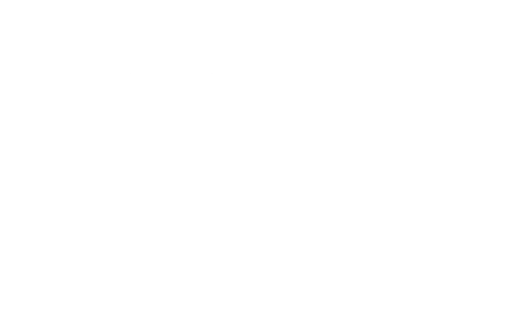 LOGO LACE